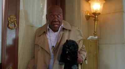 - As you can see, this cat
has not been well at all. - Shrunken Heads