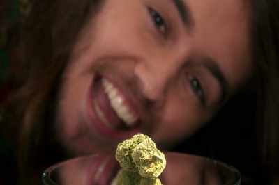 As you can see, it has
terpy nugs and trichomes - Disjointed