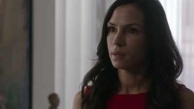 As you can see, I am now
on the outside looking in. - The Blacklist: Redemption