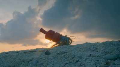 As we change our planet
most life on earth
struggles to keep up. - One Strange Rock