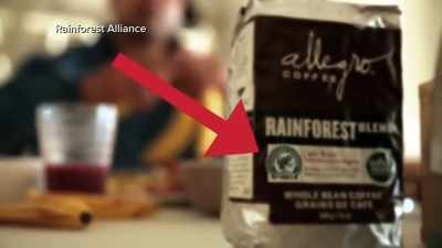 -As consumers become
increasingly conscious - Impact x Nightline