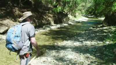 As we continue
walking up the stream, - Modern Dinosaurs
