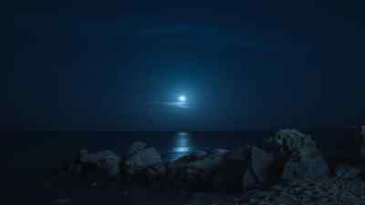 As darkness falls,
her underwater world transforms. - Prehistoric Planet