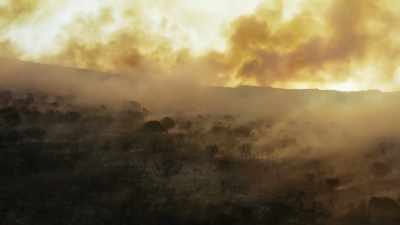 As destructive as it seems, - The Green Planet