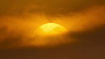 As evening approaches,
a bigger danger emerges. - Wild Babies