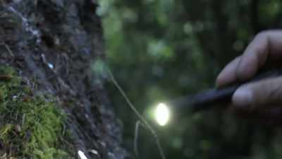  As far as being able
 to identify - Expedition Bigfoot
