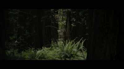 As far as I'm concerned,
every rapist in the world - Sasquatch