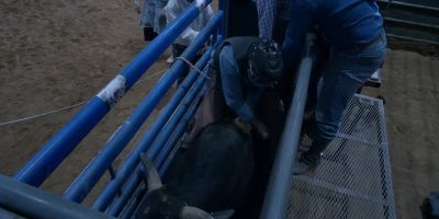 As we get ready to go now to the next bucking champ. - Monarch