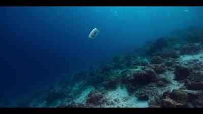 As it goes, it collects evidence - Our Oceans