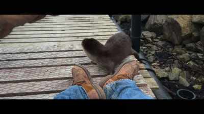 As she got stronger, we started
spending more time together. - Billy & Molly: An Otter Love Story