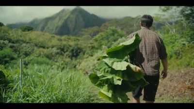 As Hawaiians,
we believe that taro - Street Food: USA