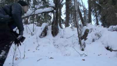 As I head down and work my
way across this small ravine, - Life Below Zero: Next Generation