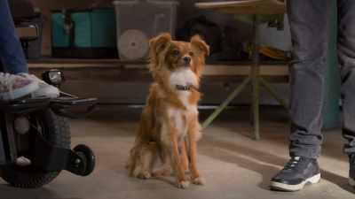 As if I wasn't already stressed enough
about Valerie's party, - The Healing Powers of Dude