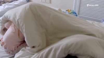 As I'm spending my weekend
in a child-led household - Stacey Dooley Sleeps Over