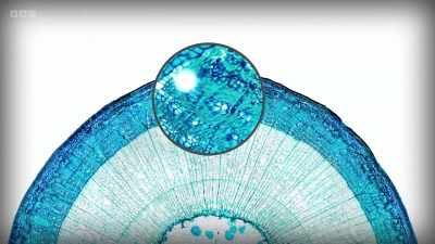 As we increase magnification, - Secrets of Size: Atoms to Supergalaxies