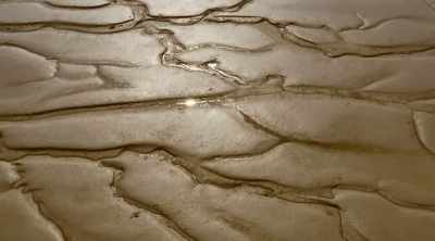 As intriguing as this study is,
it doesn't account - Mysteries of the Deep
