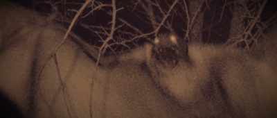 As Keel put forth his own ideasabout alternate dimensions - The Mothman Legacy