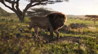 As king, you need to
understand that balance... - The Lion King