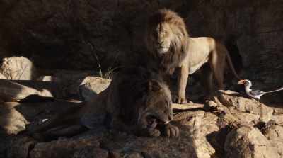 As you know, I have tremendous
respect for the queen. - The Lion King