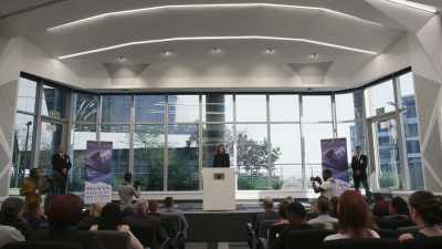 As you know, the Panacea project
has vaulted the company - Professionals
