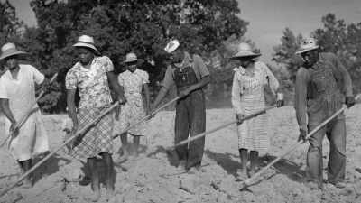 As late as 1930,
blacks had lower - Thomas Sowell: Common Sense in a Senseless World