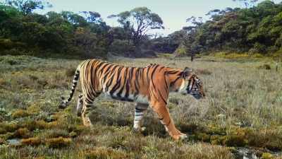 As long as we protect the park, - Our Great National Parks