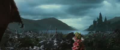 As long as you see it, we'll see it. - Harry Potter and the Prisoner of Azkaban