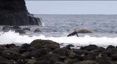 As long as it didn't
cause any discomfort. - Bethany Hamilton: Unstoppable