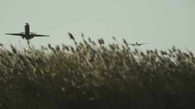 As long as she
was married to him, - Kingdom of Silence