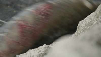 As many as 2,000 female turtles - Planet Earth III