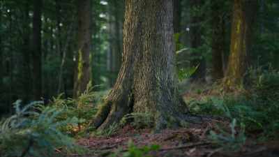 As one life ebbs away... - Super/Natural