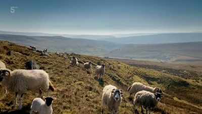 As parents nationwide grapple
with home-schooling, - Our Yorkshire Farm