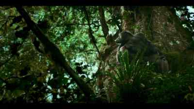 As powerful as he is in his own territory, - Chimp Empire
