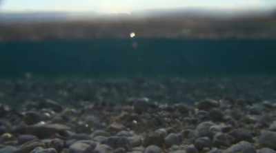 As it reaches the egyptian
coast, - Mysteries of the Deep