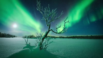 As solar winds collide
with the earth's magnetic field, - A Year on Planet Earth