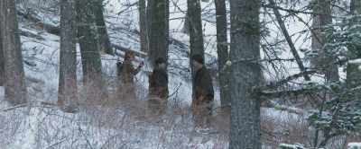 As soon as fighting starts,
you do what you can, all right? - Robert the Bruce