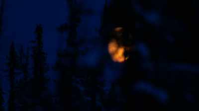 As soon as you step
outside, hopefully,
you'll feel a difference. - Life Below Zero: Next Generation