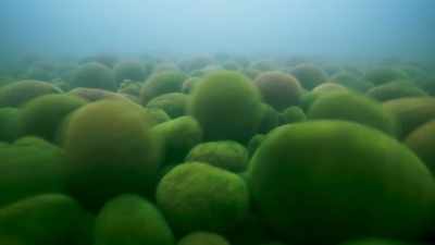 As they spin, every part
of their surface - The Green Planet