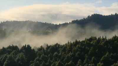 As spring arrives,
strange calls echo through the trees. - Prehistoric Planet