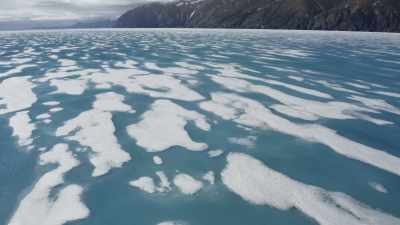 As spring turns to summer, - Frozen Planet II
