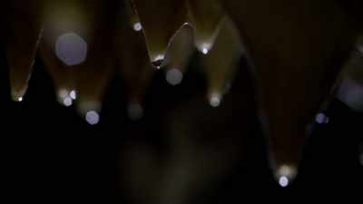 As stalactites form, drip by drip... - Welcome to Earth