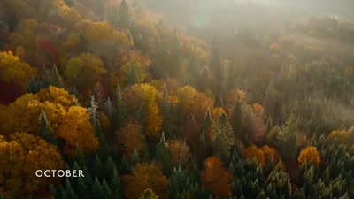 'As summer draws to a close, - A Year on Planet Earth