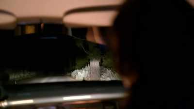 As if suspended in a dream. - Alien Abduction: Betty and Barney Hill