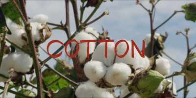 As temperature rises and
rain patterns change. - Hot Money