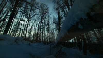 As temperatures
continue to drop, - Life Below Zero: Next Generation