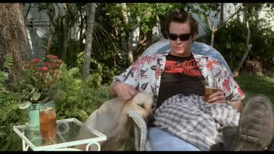 'Ασ' την, έχει δίκιο. - Ace Ventura: Pet Detective