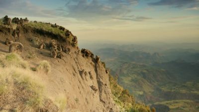 As the climate warms and the grass they depend on retreats higher, - Hostile Planet