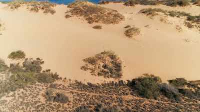 As the continent continued to drift north, - Seven Worlds, One Planet