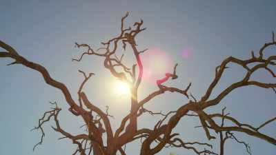 As the dry season advances, - In the Footsteps of Elephant