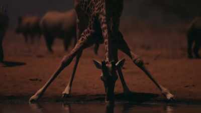 As the dry season continues, - Our Great National Parks